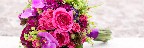 Blumen